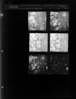 Crop Loans Discussed (6 Negatives) (July 17, 1962) [Sleeve 43, Folder a, Box 28]